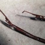 Cforcar Facel Vega Restoration 1 700